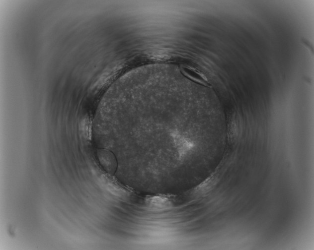 X0000100420180200806271516