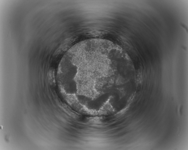 X0000100420182200806271516