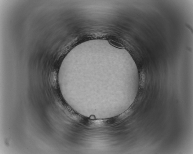 X0000100420184200806271516