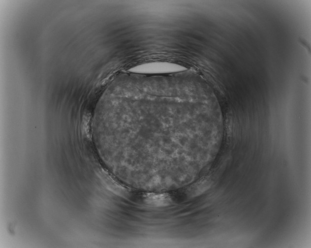 X0000100420185200806271516