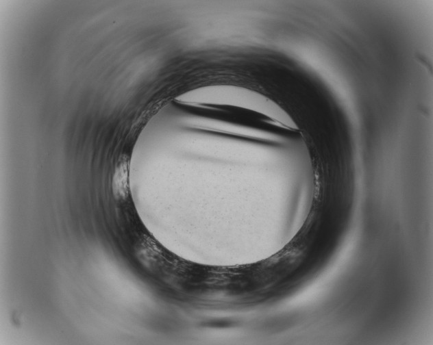 X0000100420190200806271516