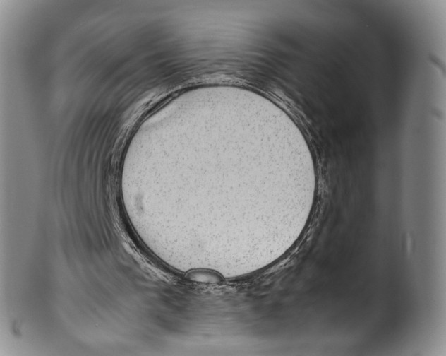 X0000100420193200806271515