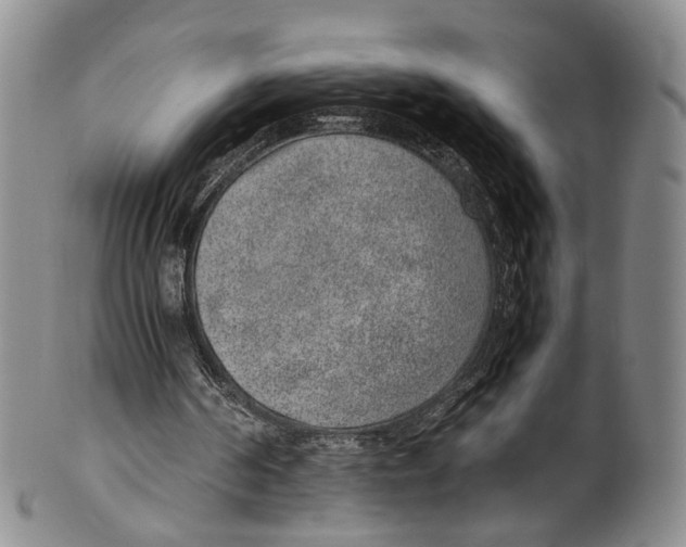 X0000100420194200806271515