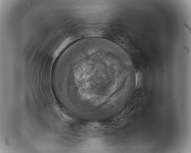 X0000100420195200806271515