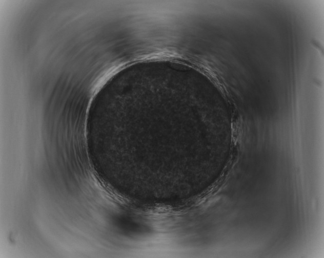 X0000100420196200806271515