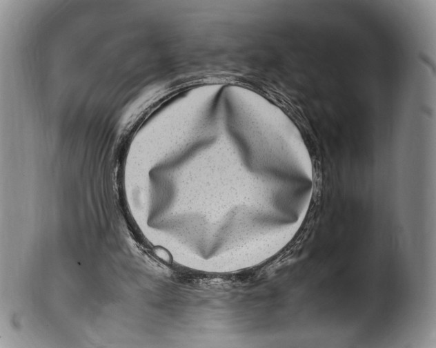 X0000100420197200806271515