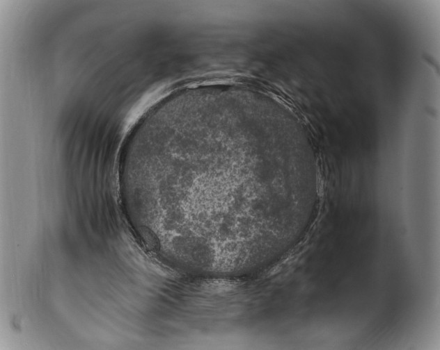 X0000100420198200806271515