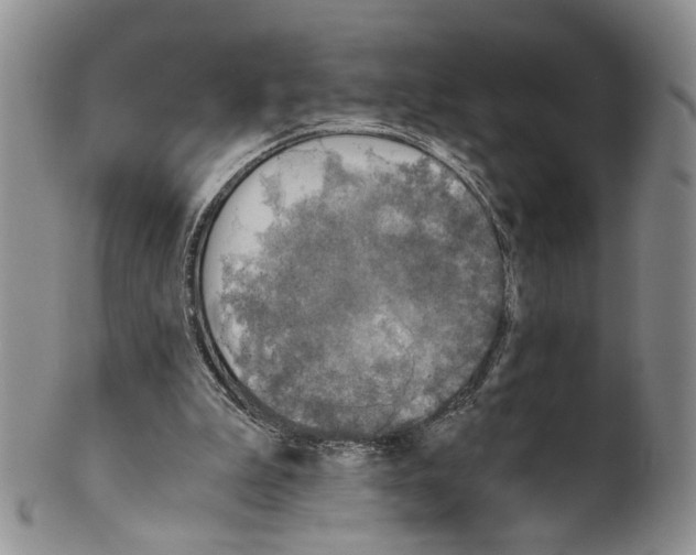 X0000100420199200806271515