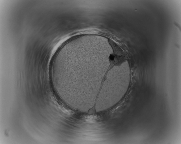 X0000100420200200806271515