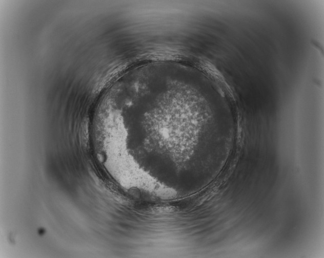 X0000100420202200806271515