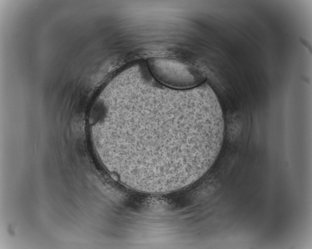 X0000100420207200806271515