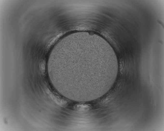 X0000100420208200806271515