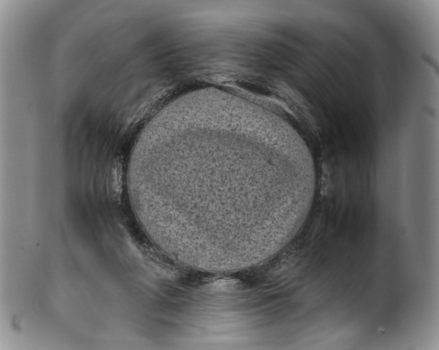 X0000100420210200806271515