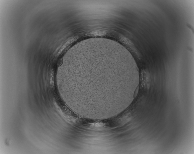 X0000100420212200806271515