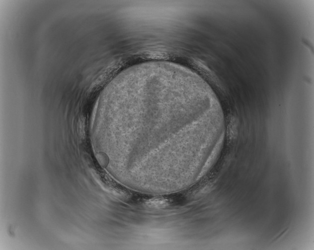 X0000100420213200806271515