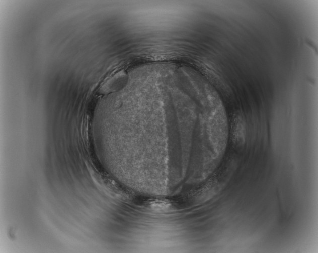 X0000100420214200806271515