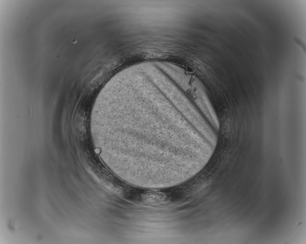 X0000100420215200806271515