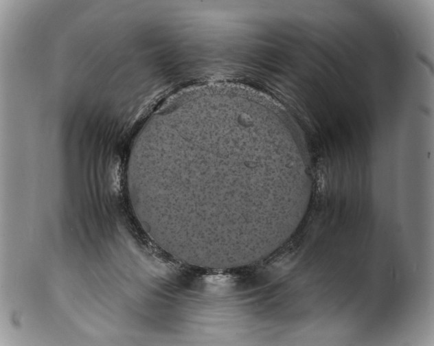 X0000100420216200806271515