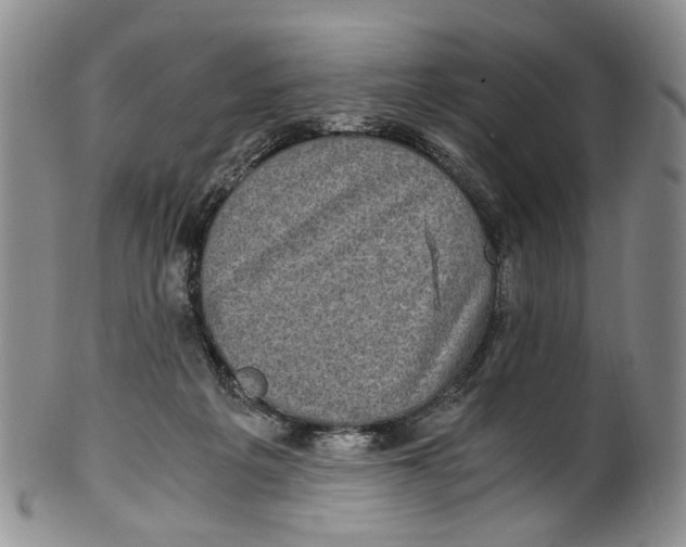 X0000100420217200806271515