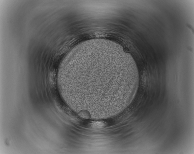 X0000100420218200806271515