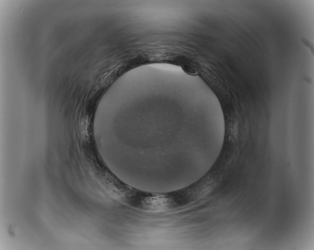 X0000100420219200806271515