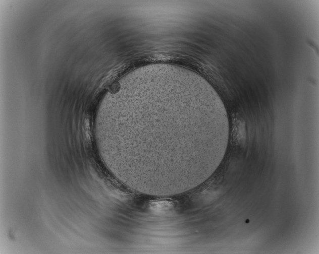 X0000100420220200806271515