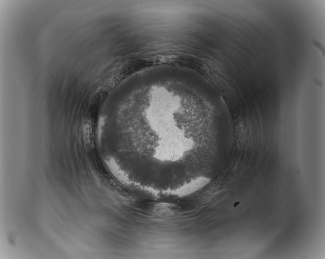 X0000100420222200806271515