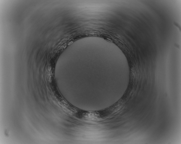 X0000100420223200806271515