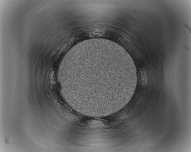 X0000100420224200806271515