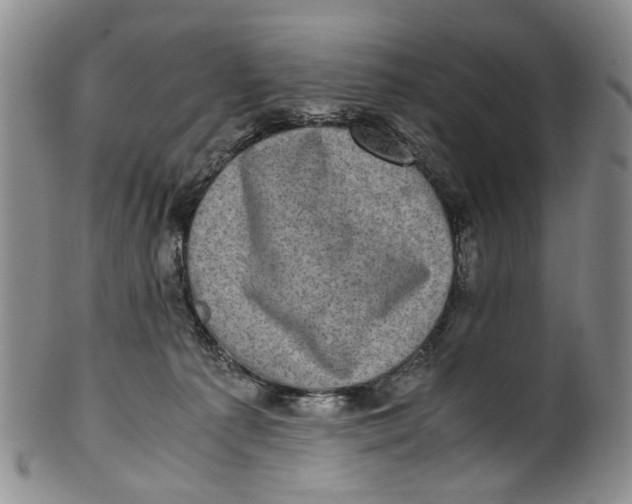 X0000100420225200806271515