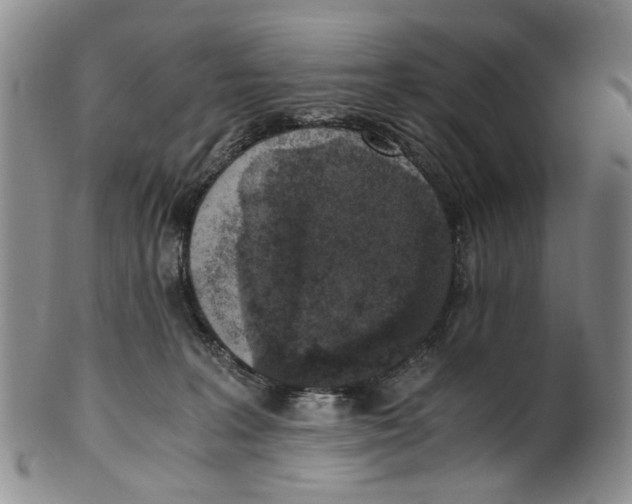 X0000100420227200806271514