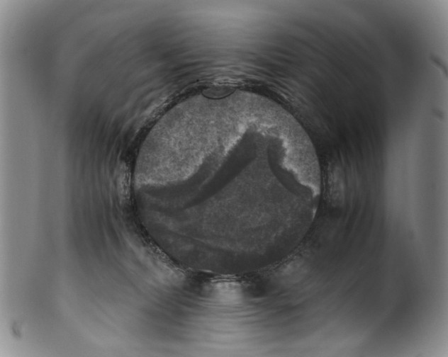 X0000100420228200806271514