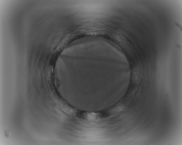 X0000100420229200806271514