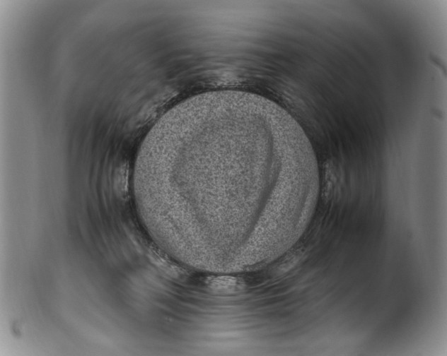 X0000100420230200806271514