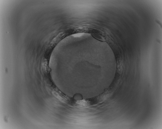 X0000100420231200806271514