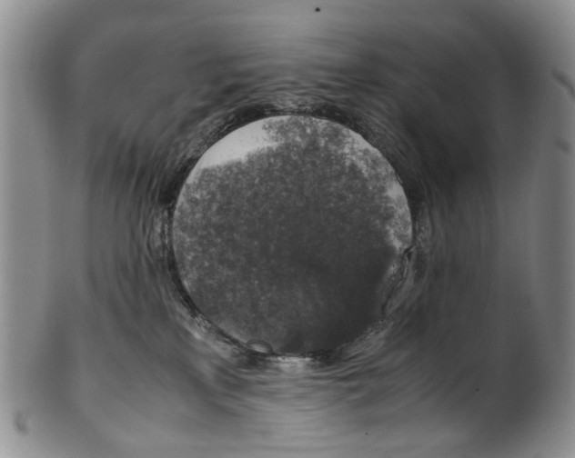 X0000100420233200806271514