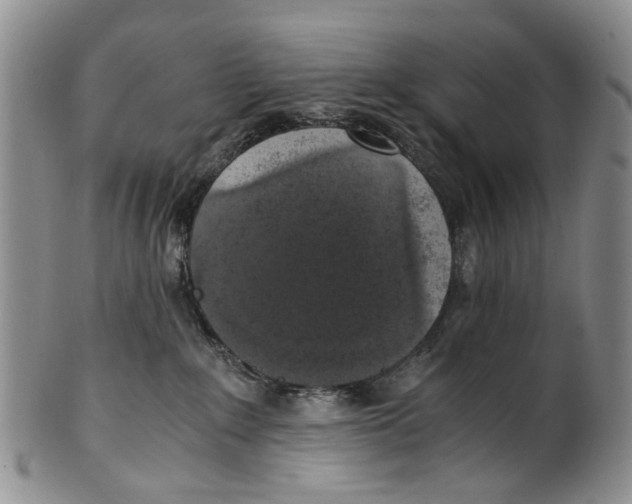 X0000100420235200806271514