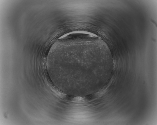 X0000100420237200806271514