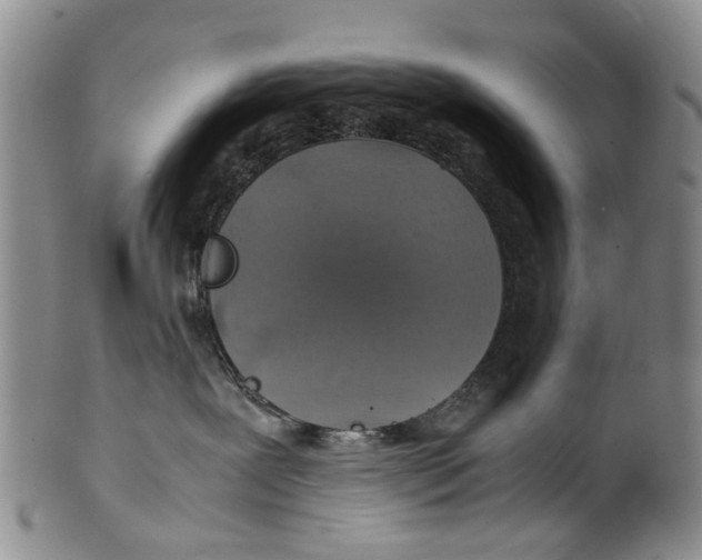 X0000100420239200806271514