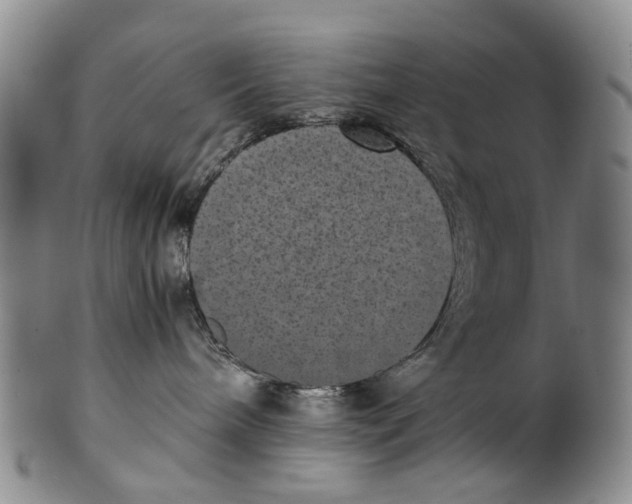 X0000100420240200806271514