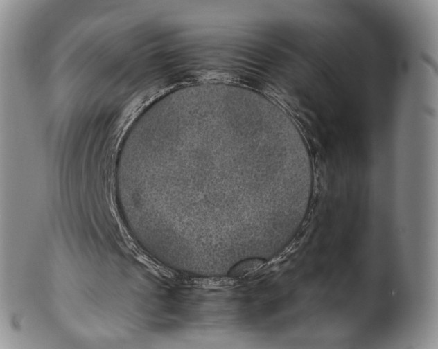 X0000100420241200806271514