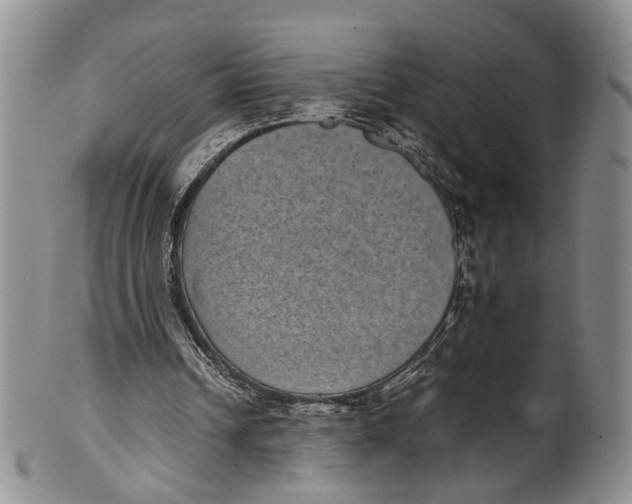 X0000100420242200806271514