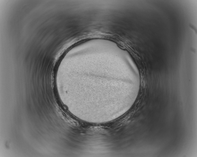 X0000100420244200806271514