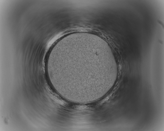 X0000100420246200806271514