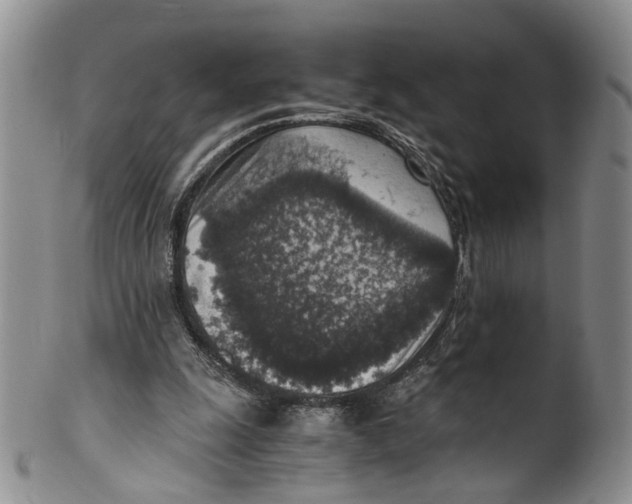 X0000100420247200806271514