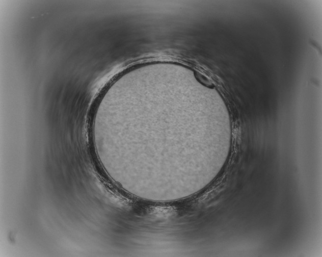 X0000100420248200806271514