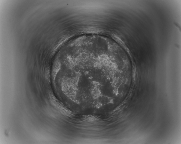 X0000100420249200806271514