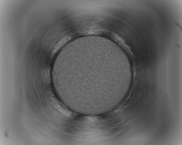 X0000100420250200806271514