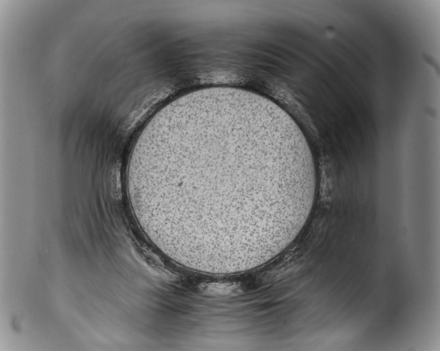 X0000100420251200806271514