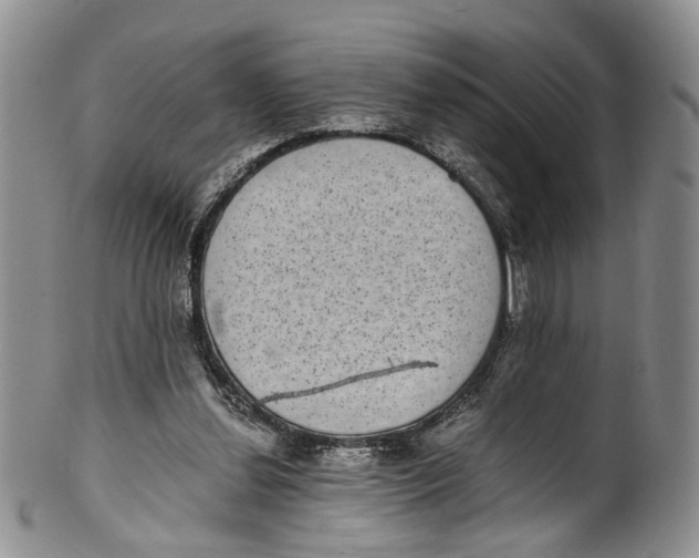 X0000100420252200806271514